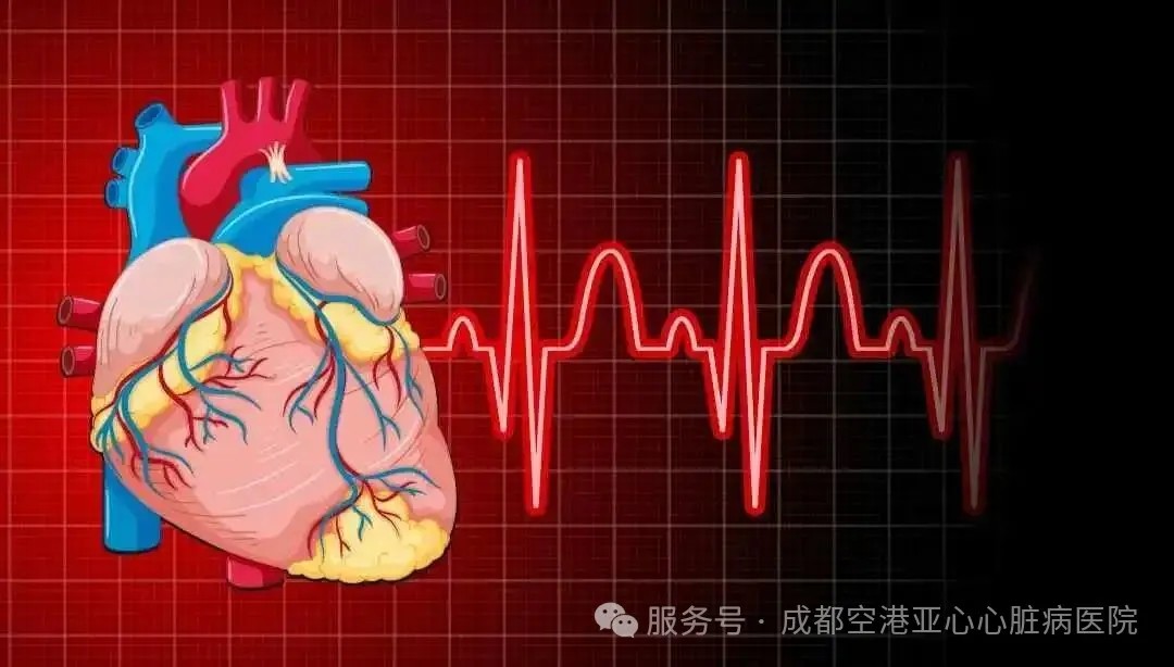 心跳也有安全范围？太快或太慢都可能致命！心脏专家详解心率健康与起搏器知识