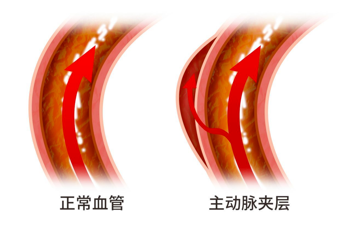 1771987929123499.png