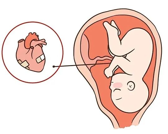 科学护童心 健康伴成长｜心外科主任卢佳佳做客电台节目， 科普儿童先天性心脏畸形诊疗知识