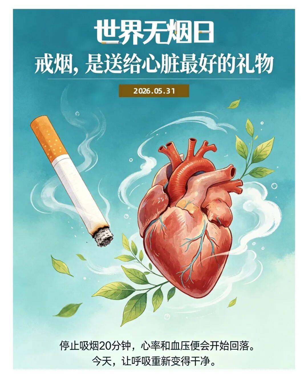吸烟1分钟，心脏加班3小时 ——第39个世界无烟日，做自己心跳的主人